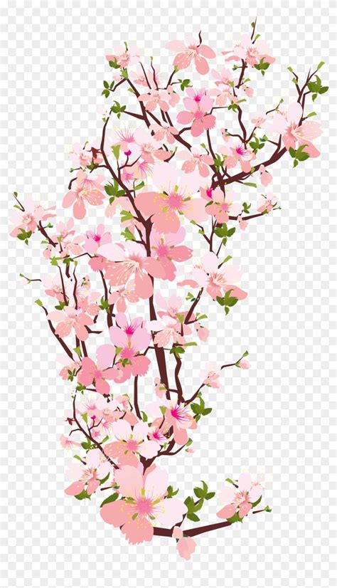 flowering tree clipart|cherry blossom clip art.